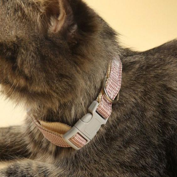 Cat Collar with Bells