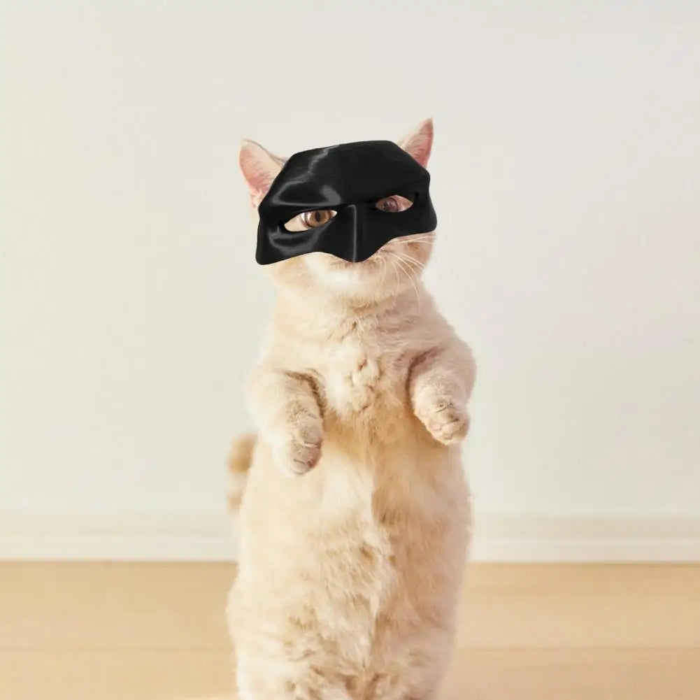 Cute Black Bat Mask Costume