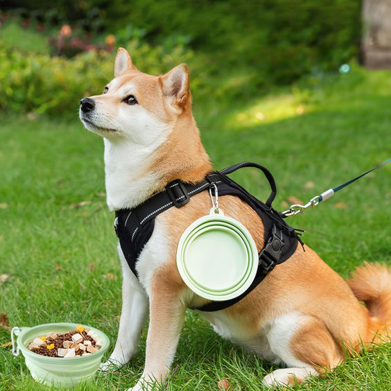 Portable Silicone Pet Bowl