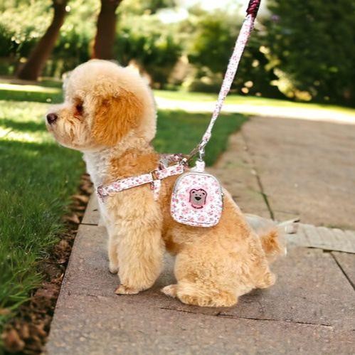 Pet Harness Leash Set Floral Dog