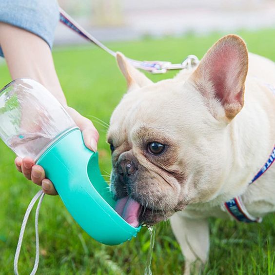 Portable Pet Hydrator