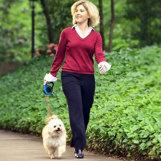 Dog Leash Automatic Flexible