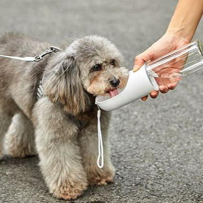 Portable Pet Hydrator