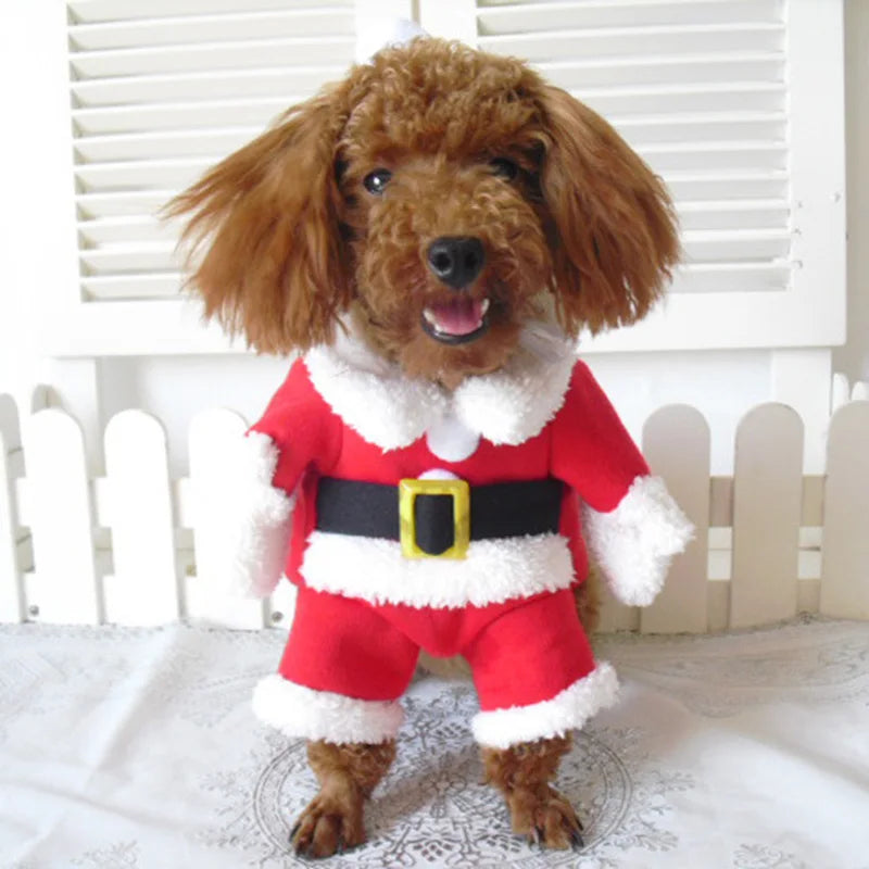 Winter Christmas Pet  Costumes