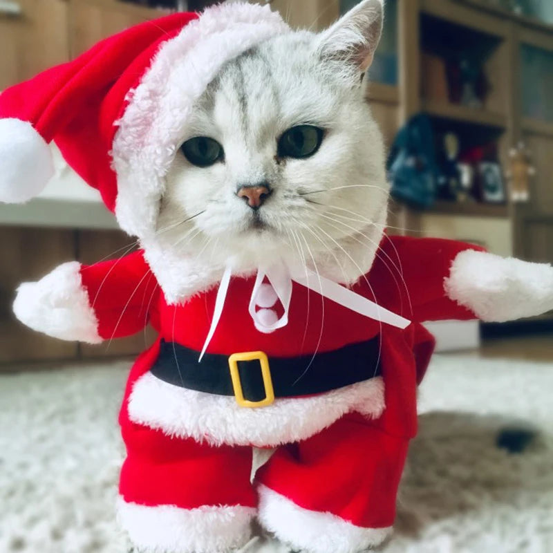 Winter Christmas Pet  Costumes