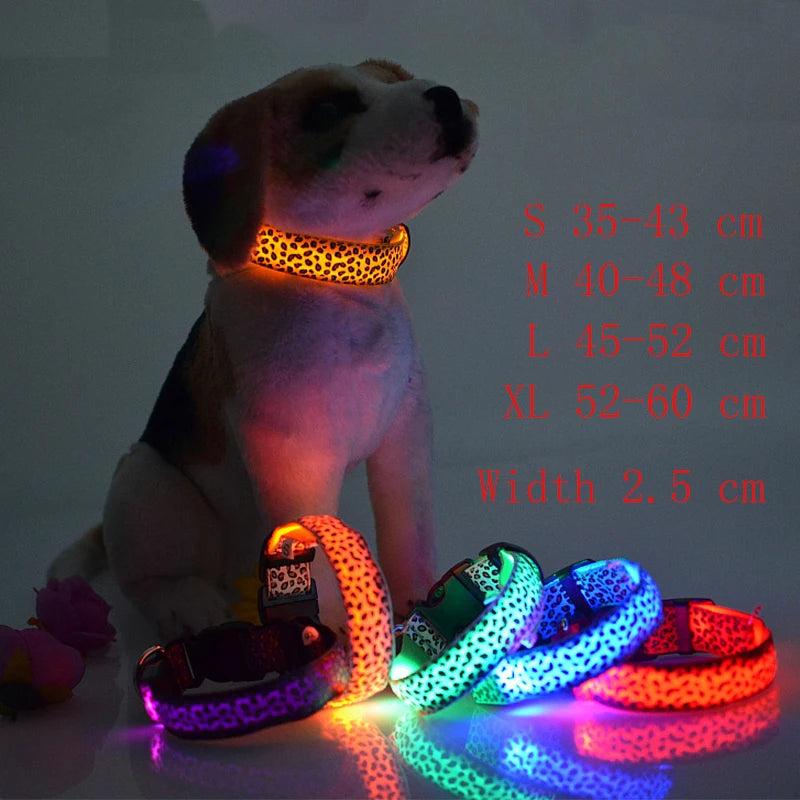 Collar Led Light Night Safety Leopard