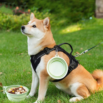 Portable pet bowl | Travel dog bowl | Collapsible silicone dog bowl | Foldable pet bowl | Dog water bowl for travel | Cat travel bowl | Silicone puppy bowl | Compact pet feeding bowl | Outdoor dog water bowl | Hiking dog bowl | Leak-proof dog bowl | Portable dog food container | Pet travel accessories | Small dog travel bowl | Dog bowl with carabiner | Pet camping bowl | Pocket-size dog bowl | Reusable silicone pet bowl | Eco-friendly travel pet bowl | Portable food and water bowl for pets