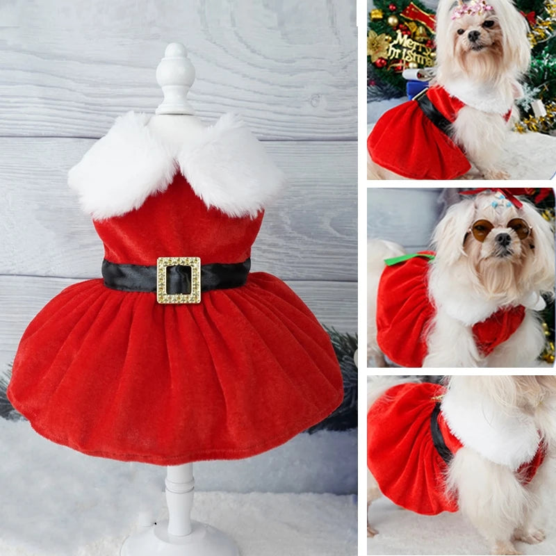 Christmas Coat Dog Clothes Dog Dress