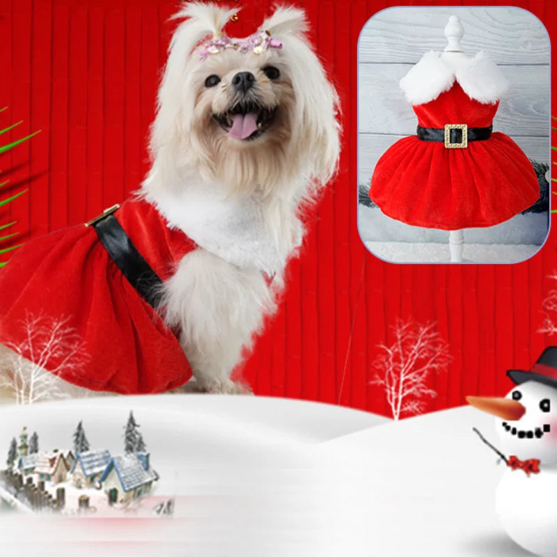 Christmas Coat Dog Clothes Dog Dress