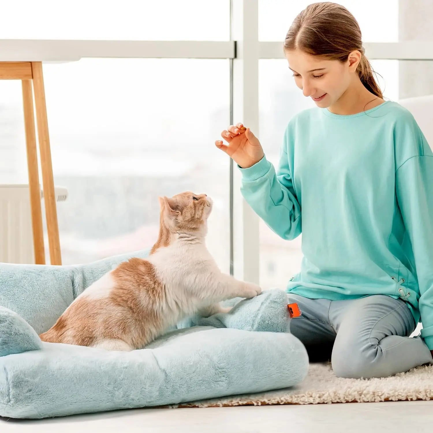 Cat Sofa Beds