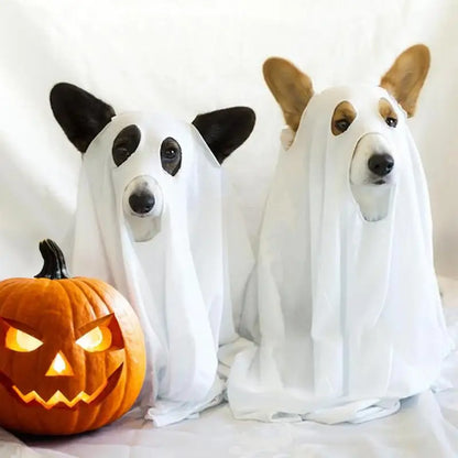 Halloween Ghost Pet Cloak Grab