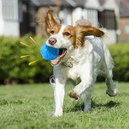 Aggressive Chew Toys for Dogs