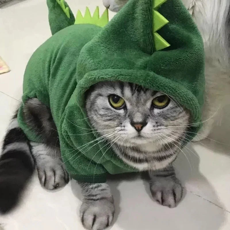 Dinosaur Cosplay Pet Hoodie