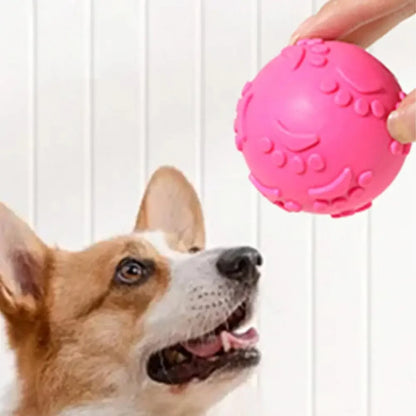 Aggressive Chew Toys for Dogs