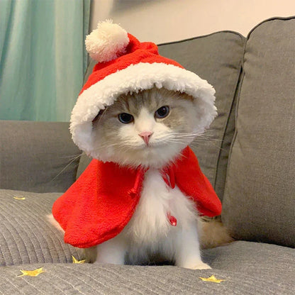 Cat Small Dog Christmas Costume