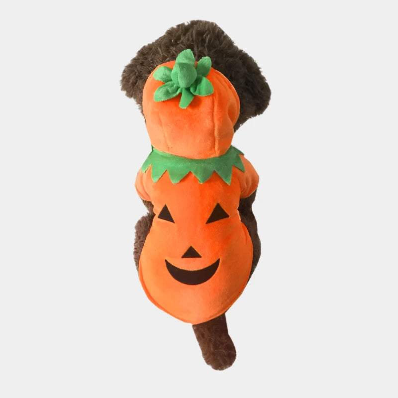 Christmas pet clothes Pumpkin