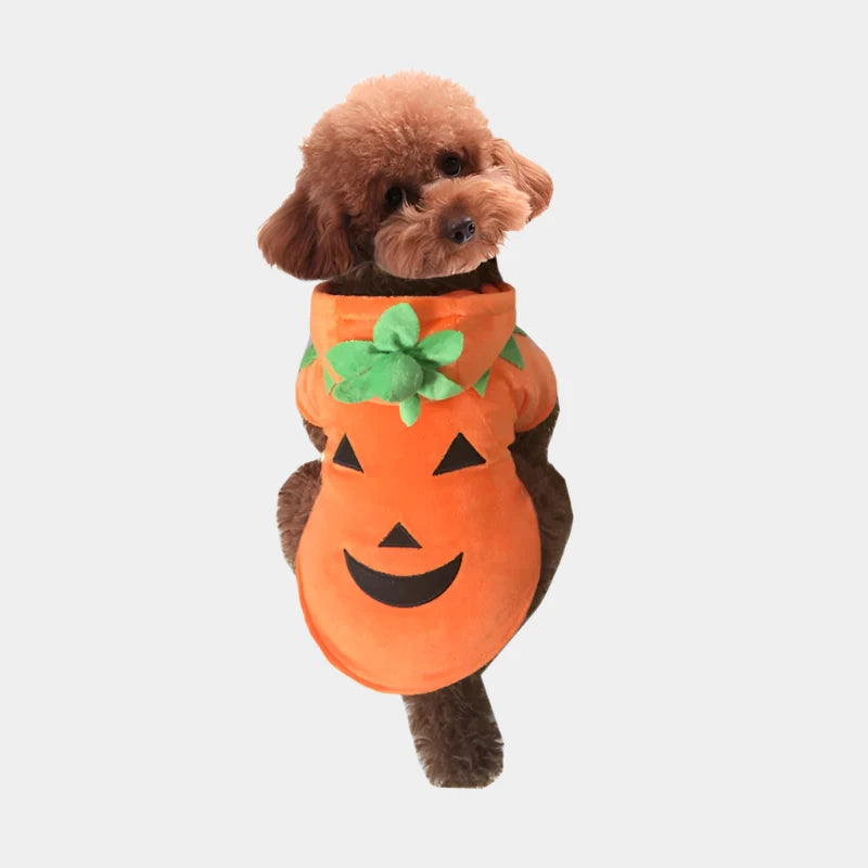 Christmas pet clothes Pumpkin