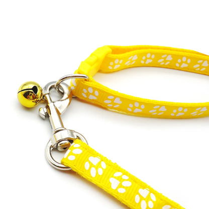 Dog Leash A Set Paw