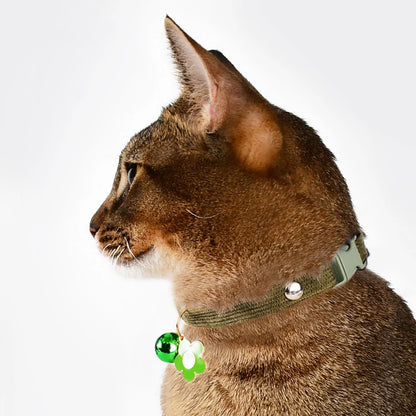 Cat Collar with Bells