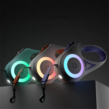 Streamer Led Lights Dog Leash