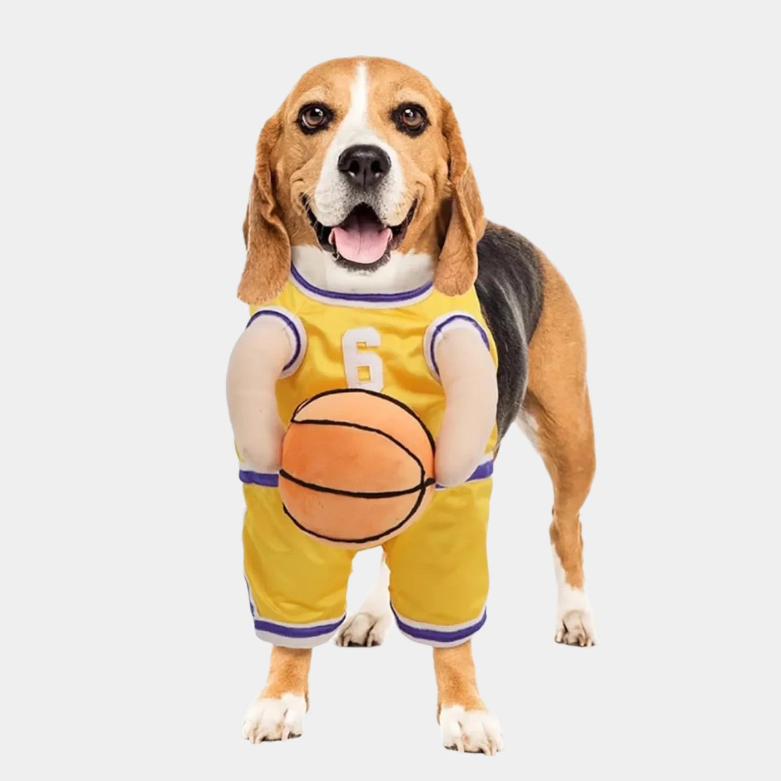 Dog Basketball Costume