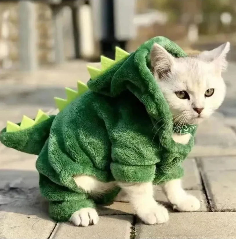 Dinosaur Cosplay Pet Hoodie