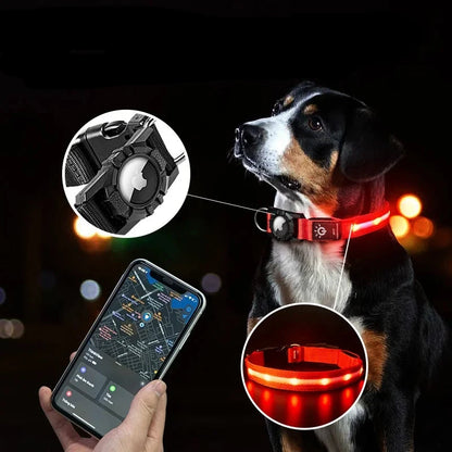 Dog collar GPS global positioning