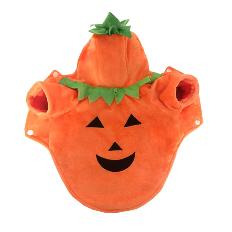 Christmas pet clothes Pumpkin