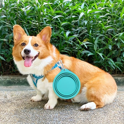 Portable Silicone Pet Bowl