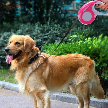 3 pcs/set 3 in1 Pet Dog Leash Chain