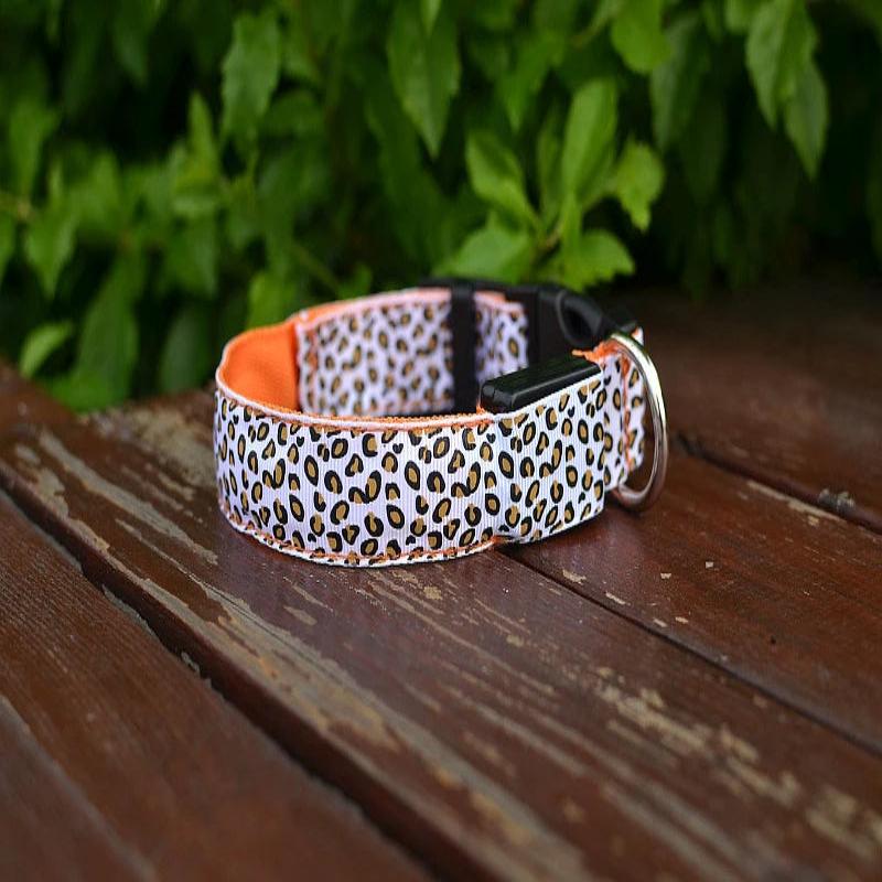 Collar Led Light Night Safety Leopard