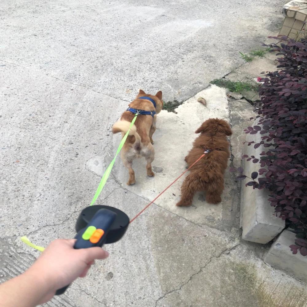 Retractable Dog Leash For Small Dogs