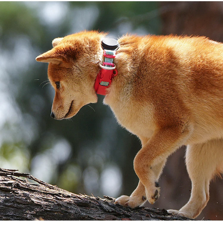 Personalized  AirTag Dog Collar