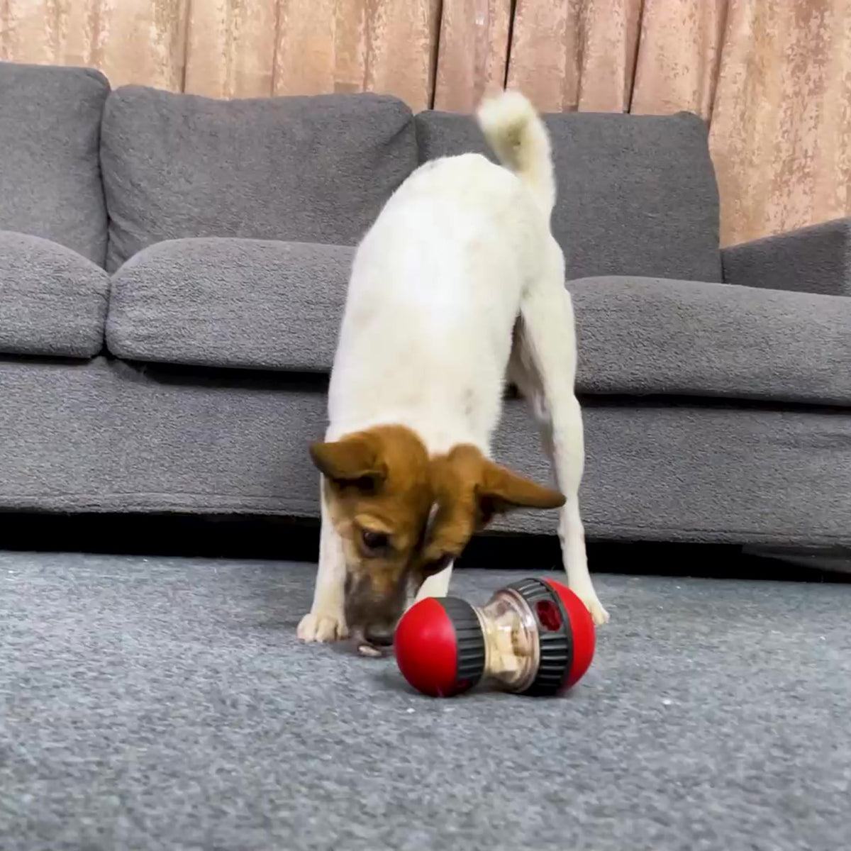 Dog Toy Tumbler Leaky Food Ball